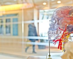 The latest development in bioprinting: 3D printed skin